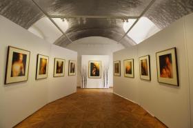 Galerie Arcimboldo, Praha