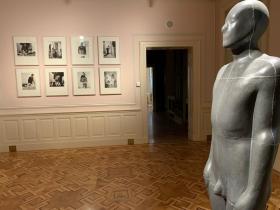 Národní Galerie Praha, Salmovský palác