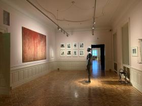 Národní Galerie Praha, Salmovský palác