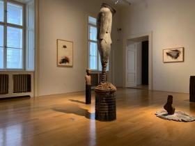 Národní Galerie Praha, Salmovský palác
