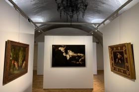 Galerie Arcimboldo, Praha