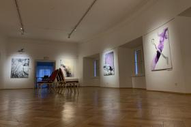 Galerie Zahradní dům, Teplice