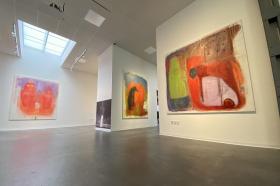 LENKA ČERNOTA: VLČINA BOLD Galerie