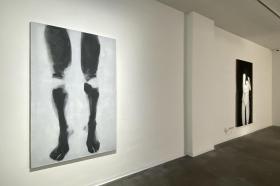 JOSEF ŽÁČEK: SURROGATE BOLD Galerie