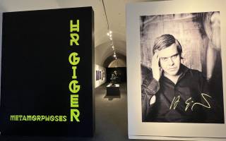 Alšova jihočeská galerie, Hluboká n. V.