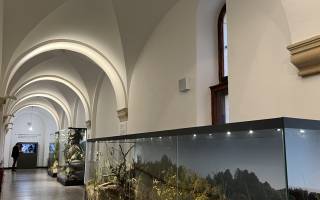 Severočeské muzeum v Liberci 
