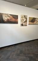 ART Capital Gallery, Praha 