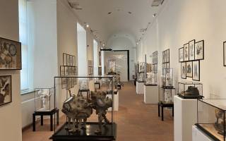 GASK, Kutná Hora-DISEGNO INTERNO