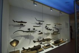 Archa Neomova - Národní muzeum Praha
