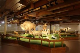 Archa Neomova - Národní muzeum Praha